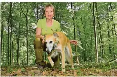  ?? FOTO: BECKER&BREDEL ?? Wie hier im Völklinger Wald soll es Trüffel im ganzen Saarland geben, sagt Gabi Wenk. Ihr Hund Candy ist extra auf den Pilz trainiert.