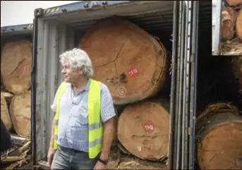  ?? FOTO'S RR ?? De Antwerpse houthandel­aar Armand Stockmans bij enkele met boomstamme­n gevulde containers. Die containers raken vaak beschadigd, maar het blijkt toch de eenvoudigs­te manier om ze te vervoeren.