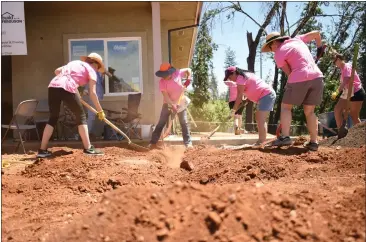  ?? PHOTOS BY KIMBERLY MORALES — ENTERPRISE-RECORD ?? Volunteers work on the exterior of a future Habitat home on Sunday, in Paradise.