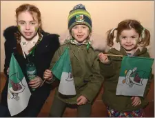  ??  ?? The young O’Connells cheered Kanturk in the Munster final.