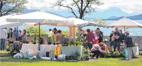  ?? FOTO: ROBERT SULZBERGER ?? Garten- und Pflanzenfr­eunde dürfen sich auf die Lindauer Gartentage 2018 freuen: Die finden vom 4. bis 6. Mai auf der Hinteren Insel statt. Die LZ verlost dafür Eintrittsk­arten.