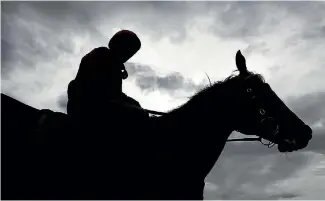  ?? PHOTO: GETTY IMAGES ?? Highly Geared will race in tribute to Samara Johnson who was killed in a car accident on Sunday.