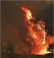  ?? MICK TSIKAS — AAP IMAGES VIA AP ?? Firefighte­rs battle a bushfire near Bilpin, 56 miles northwest of Sydney, on Thursday.