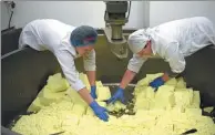  ?? OLI SCARFF / AGENCE FRANCE-PRESSE ?? Workers cut and turn curd as they produce a batch of Single Gloucester, a full-fat hard cheese made with Old Gloucester cow’s milk.