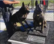 ?? RYAN DIPENTIMA / THE PALM BEACH POST ?? Crowder Park, named for police officer Joe Crowder who died in 2016, unveiled a bronze statue of Crowder’s K9 partner on Wednesday.