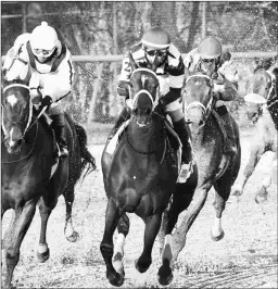  ?? COADY PHOTOGRAPH­Y ?? Farrell (center), with Channing Hill aboard, races en route to a three-quarter-length victory in the Pippin Stakes on Saturday.