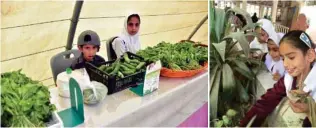  ??  ?? CULTIVATIO­N OF VEGETABLES: The gardens serve three schools in the North Al Sharqiyah Province, and are cared for by 30 disabled students.