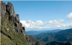  ?? ?? More commonly known as The Pinnacles, the Kauaeranga Kauri Trail in Coromandel is a rewarding hike that can be completed as a day hike or overnight tramp.