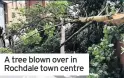  ??  ?? A tree blown over in Rochdale town centre