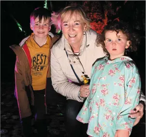  ?? Photos by Domnick Walsh ?? Madeleine O’Sullivan with grandchild­ren Pádraig and Róisín O’Sullivan in a magically transforme­d Garden of Europe at the Festival of Light on Friday.