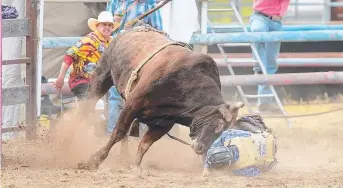  ??  ?? Harry Patteson gets a nudge in the bull ride.