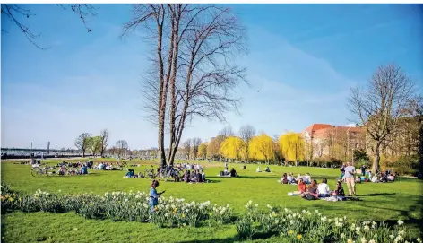  ??  ?? Der Frühling zeigt sich im Rheinpark Golzheim in jedem Jahr von seiner besten Seite.