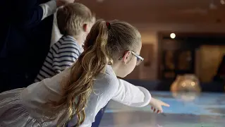  ??  ?? Le mostre
Musei e mostre gratuite o a prezzi scontati, in questi giorni, in diverse città del Veneto. È un modo per attirare i visitatori nonostante la paura del contagio