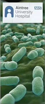  ??  ?? DEADLY OUTBREAK: Listeria bacteria