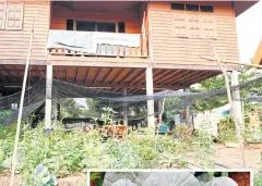  ??  ?? Every family has a small vegetable plot in front of the house. Neighbours are always exchanging produce. Sharing cooked food is also a common practice in the community.