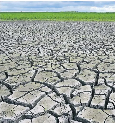  ?? FOTO: PATRICK PLEUL/DPA ?? Im brandenbur­gischen Sachsendor­f ist ein Feld so trocken, dass der Boden gerissen ist.