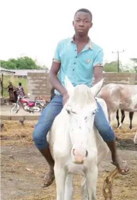  ??  ?? Riding the horse now comes easily to many of the young Igbo boys at Onueke, such as the one in this picture.