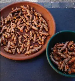  ??  ?? 1.2kg of turmeric from this season’s harvest – on the left from the garden, on the right from a 40cm pot!