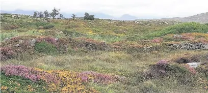  ??  ?? Carna Bog in Connemara, Ireland