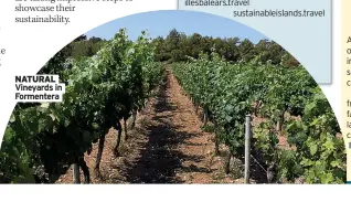  ?? ?? NATURAL Vineyards in Formentera