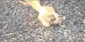  ?? (Sourced from the internet) ?? A photo of a used sanitary pad being burnt by a responsibl­e person.