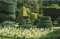  ??  ?? the topiary garden at levens hall in cumbria