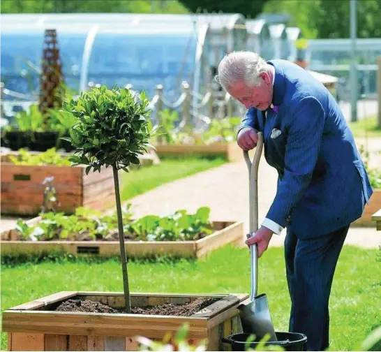  ?? EFE ?? Carlos de Inglaterra, trabajando en los jardines de su residencia de Highgrove
