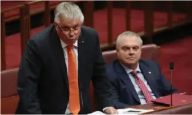  ??  ?? Centre Alliance senators Rex Patrick and Stirling Griff are looking at the ‘pros and cons’ of company tax cuts. Photograph: Mike Bowers for the Guardian