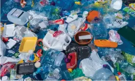  ?? Photograph: Paulo Oliveira/Alamy Stock Photo ?? The plastics industry has ramped up its lobbying, arguing that plastic bag bans go against public health.