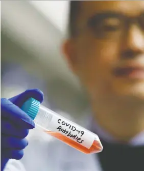  ?? THOMAS PETER / REUTERS ?? Scientist Linqi Zhang shows a tube with a solution containing COVID-19 antibodies in his Beijing lab. Researcher­s around the world continue to amass raw data
on COVID-19. But which polished treatment will finally do the trick?