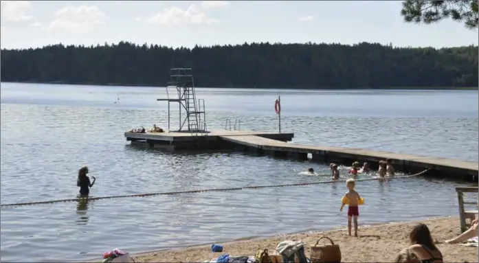  ?? ÅU-FOTO ?? GRUMLIGT. Vid stranden i Gammelby i Kimito har Folkhälsan varit tvungen att förflytta simskolan för ett par dagar på grund av algerna. Nu har man kunnat återvända. Arkivbild.