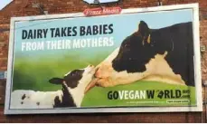  ??  ?? SUCCESSFUL: One of the Go Vegan World posters