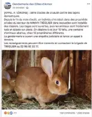  ??  ?? A Facebook appeal by the local gendarmeri­e for witnesses to the rabbit killings. Photograph: Facebook