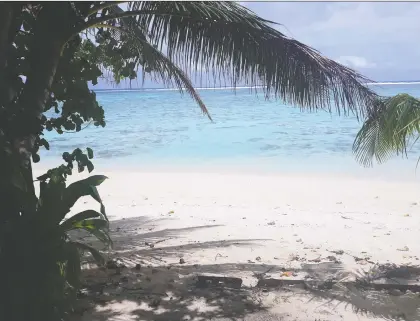  ?? PHOTOS: WALTER NICKLIN/FOR THE WASHINGTON POST ?? Palm trees and pristine beaches abound on Rarotonga’s sparsely populated south shore.