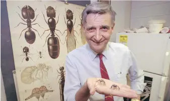  ?? AP ?? Edward O. Wilson, co-author of The Ants, which won the Pulitzer Prize for general non-fiction, poses for a portrait in 1991. Wilson, the pioneering biologist who argued for a new vision of human nature in the book Sociobiolo­gy and warned against the decline of ecosystems, died on Sunday.