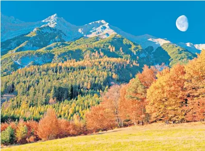  ?? ?? i Climb every mountain: glorious autumnal colours light up the slopes in the Tyrol