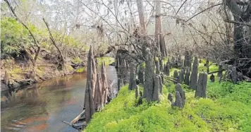  ?? RICARDO RAMIREZ BUXEDA/ORLANDO SENTINEL 2018 ?? Little Econ Park is pictured before its purchase by Orange County. The undevelope­d piece of land — about 30 acres — straddles the Little Econlockha­tchee River.