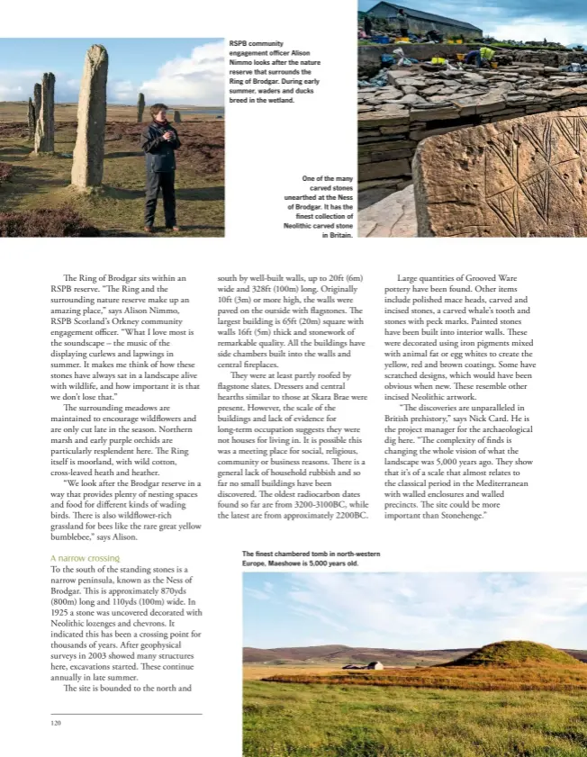  ??  ?? RSPB community engagement officer Alison Nimmo looks after the nature reserve that surrounds the Ring of Brodgar. During early summer, waders and ducks breed in the wetland. One of the many carved stones unearthed at the Ness of Brodgar. It has the finest collection of Neolithic carved stone in Britain. The finest chambered tomb in north-western Europe, Maeshowe is 5,000 years old.