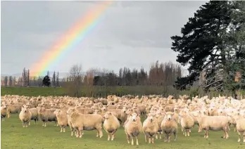  ?? Photo / NZME ?? Farmers face many day-today uncertaint­ies, right down even to what the weather might be doing.