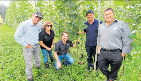  ?? PICTURE / NRC ?? LEARNING CURVE: Checking out the Northland Regional Council’s poplar and willow nursery at the E350 field day were Dairy NZ regional manager Chris Neill (left), Beef + Lamb NZ Northland extension manager Alison Whiteford, NRC land manager Duncan...