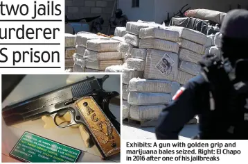  ??  ?? Exhibits: A gun with golden grip and marijuana bales seized. Right: El Chapo in 2016 after one of his jailbreaks