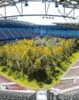  ?? Foto: dpa ?? Birken, Pappeln, Eichen und viele weitere Baumarten belegen derzeit das Stadion in Klagenfurt.