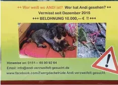  ?? Foto: privat/Pellenz ?? Der vier Jahre alte Zwergdacke­l Andi wird über Plakate, Suchkarten und über Face book Gruppen gesucht.