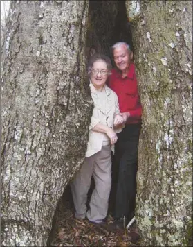  ?? Contribute­d photos ?? Jerry and Judy Slate of Rockmart stand inside 200-year-old oak tree during visit to Gilder Plantation.