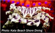  ?? Photo: Kata Beach Shore Diving ??