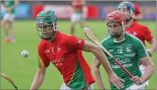  ??  ?? Kevin Ryan (Rapparees) is chased by Conor Hughes (Naomh Eanna) in their Pettitt’s SHC tie in Innovate Wexford Park.