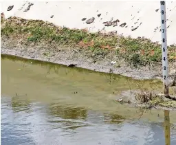  ??  ?? AguAs estAncAdAs, lugar propicio para la proliferac­ión de insectos