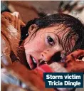  ??  ?? Storm victim Tricia Dingle