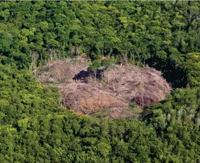  ?? FOTO ?? El departamen­to antioqueño es uno de los más afectados del país por el fenómeno de la deforestac­ión como bien lo muestra esta imagen tomada en uno de sus bosques.