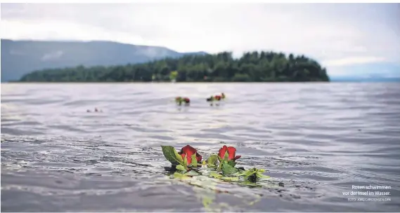  ?? FOTO: JÖRG CARSTENSEN/DPA ?? Rosen schwimmen vor der Insel im Wasser.